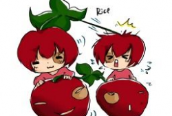 樱桃动漫,描绘青春梦想的彩色画卷